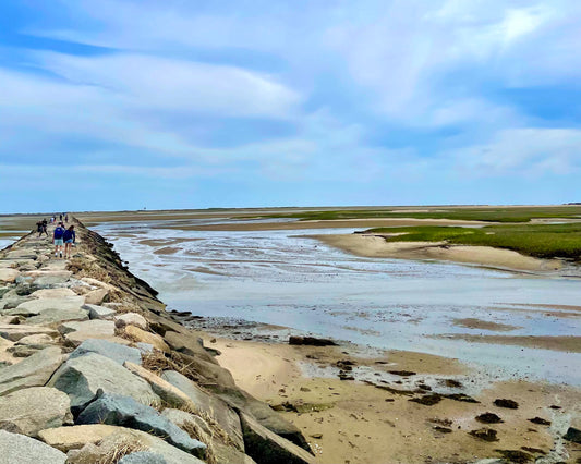 Low Tide in Provincetown, Massachusetts Print