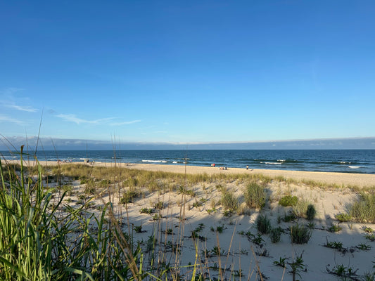 July on Long Beach Island, New Jersey Print