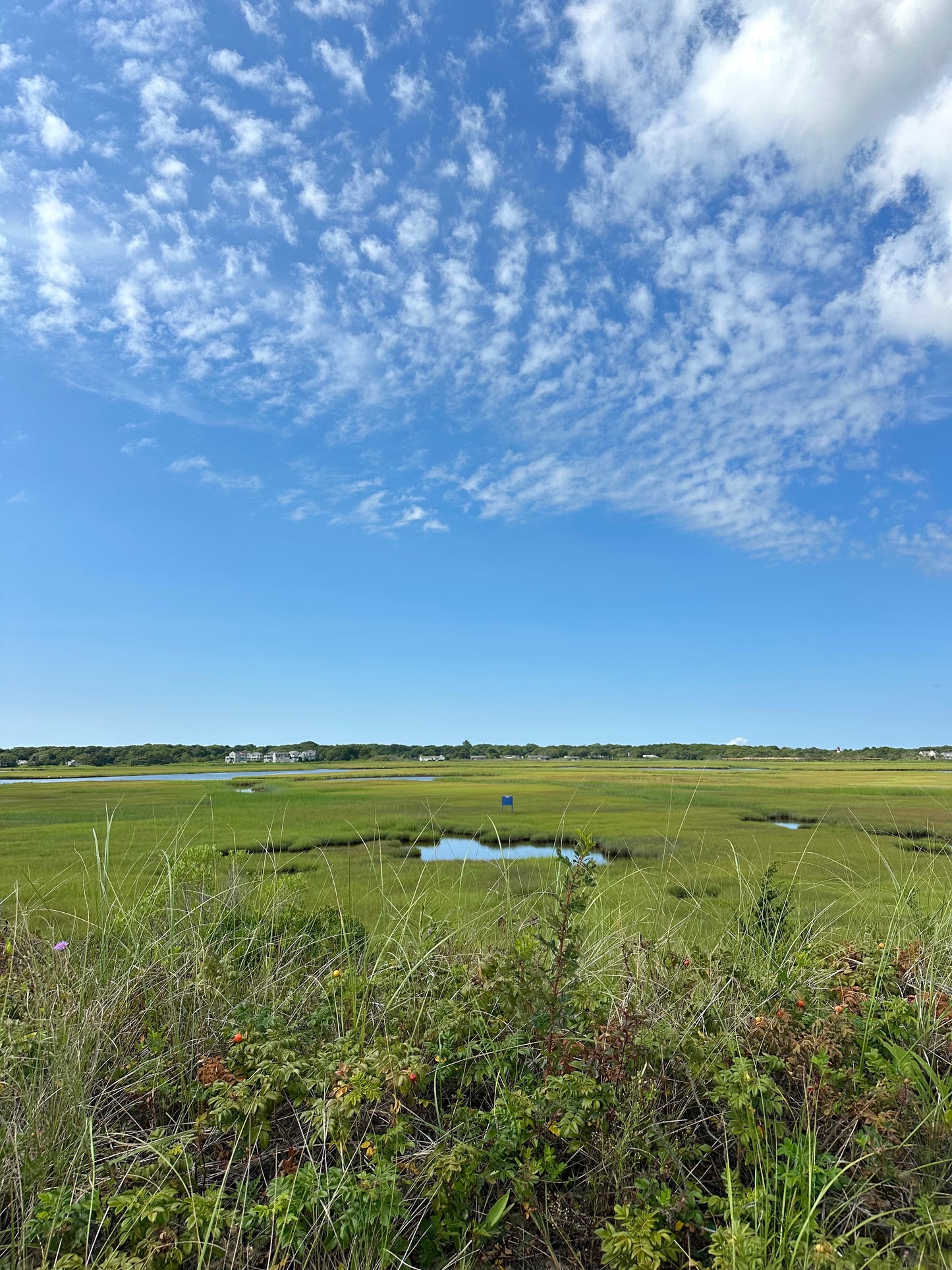 Seagull Beach Cape Cod Framed Print