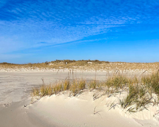 Winter Dunes on Long Beach Island, New Jersey Print