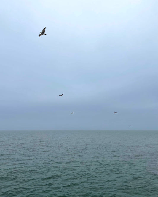 Coastal Connecticut Gloom Print