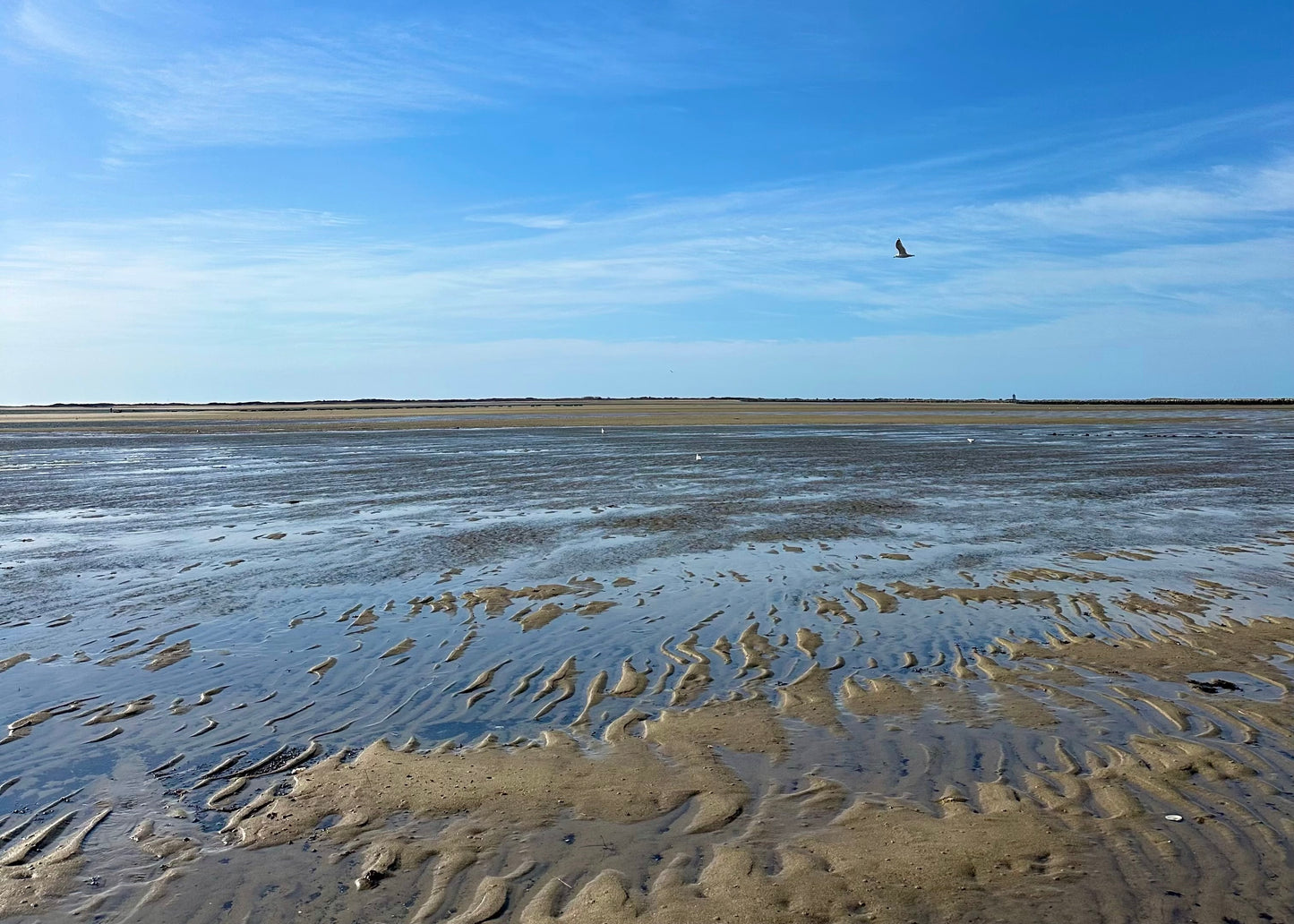 Low Tide in Provincetown, Cape Cod Framed Print