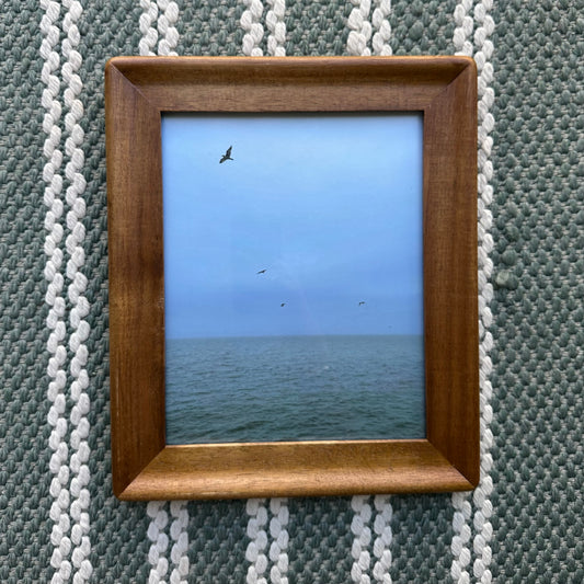Coastal Connecticut Gloom Framed Print