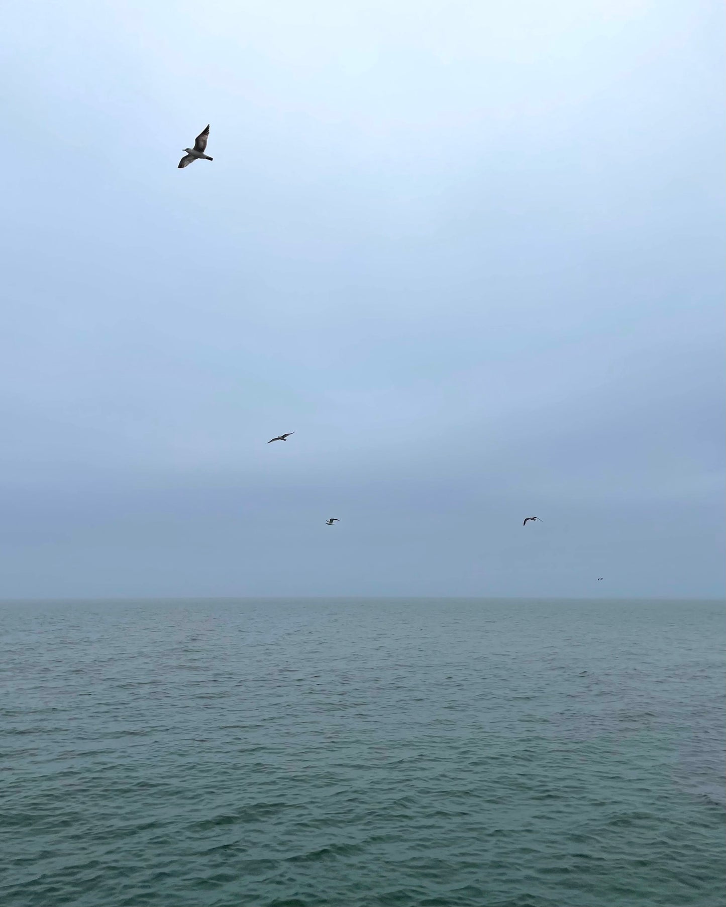 Coastal Connecticut Gloom Print